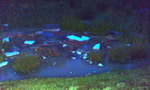 Balancing Pond