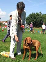 Lyn Peachey (Glos) with Wooster (Winner - Best Short Coat)