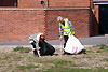 Kingsway community litter pick 2013 Kingsway community litter pick 2013